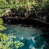 Ein Cenote im Karibik-Dschungel