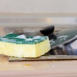 Keime in Küchenschwämmen