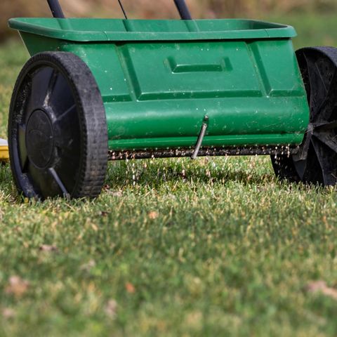 Rasen säen: Streuwagen mit Rasensamen im Einsatz