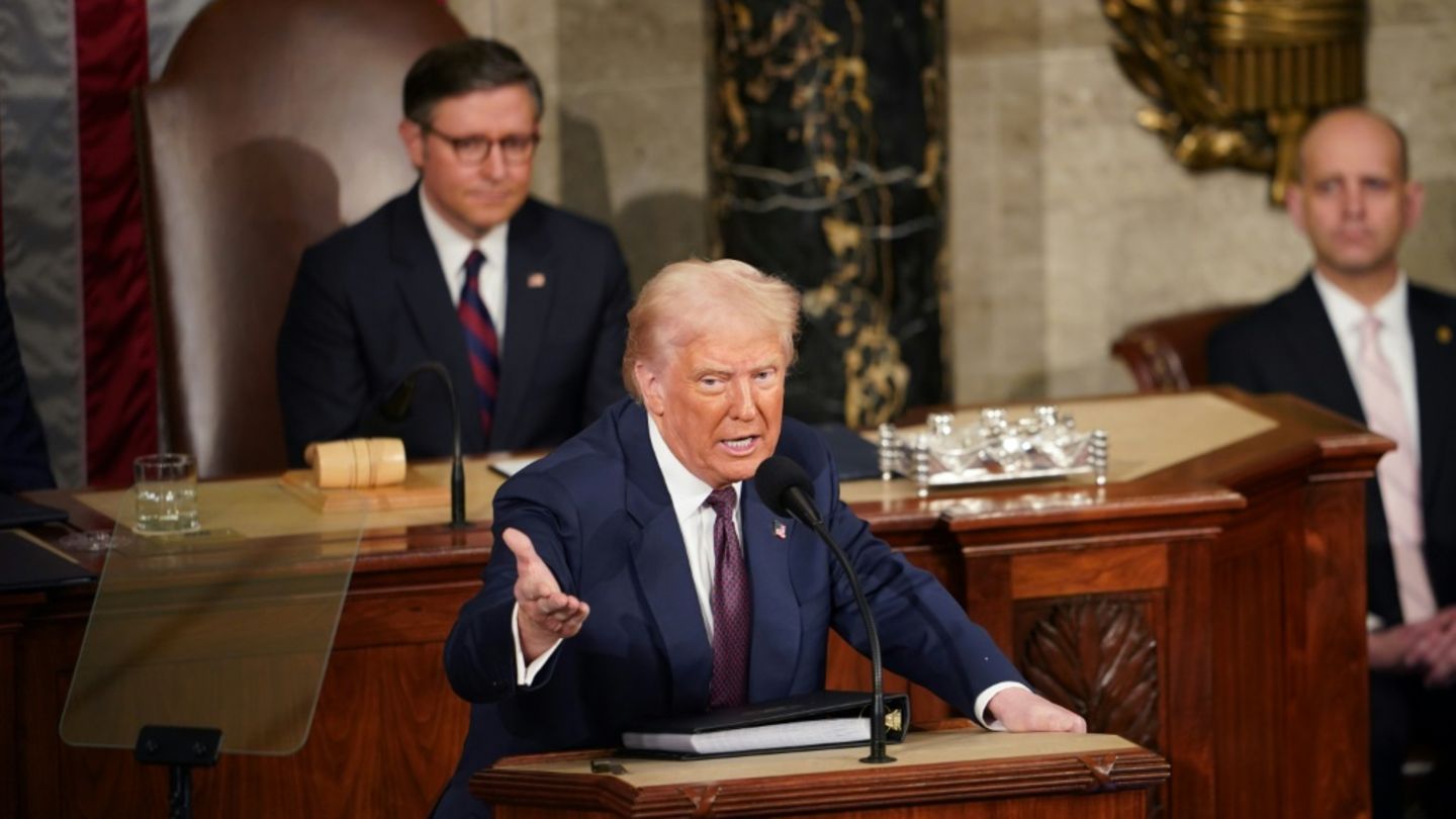 Trump während seiner Rede im Kongress
