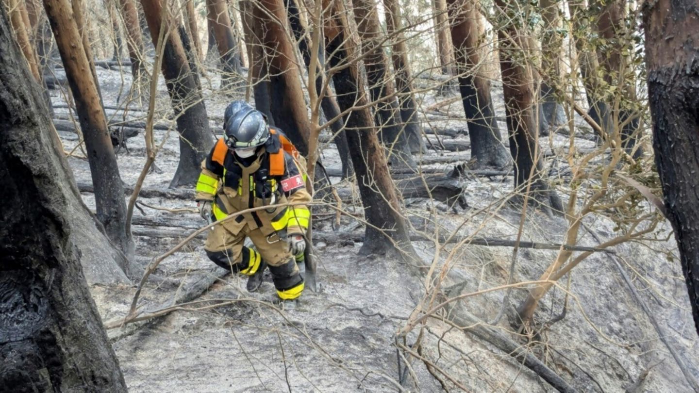 Feuerwehrmann im Wald von Ofunato