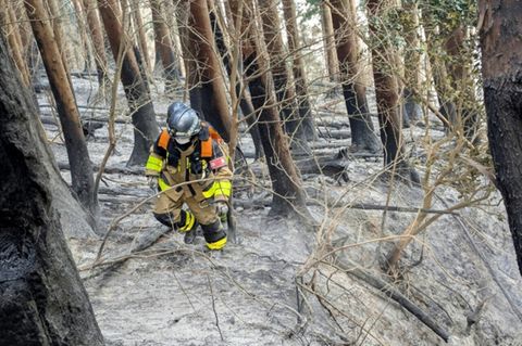 Feuerwehrmann im Wald von Ofunato
