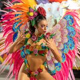 Karneval in Rio de Janeiro: Tänzerin im Blumen-Outfit mit glitzernden, federartigen Flügeln