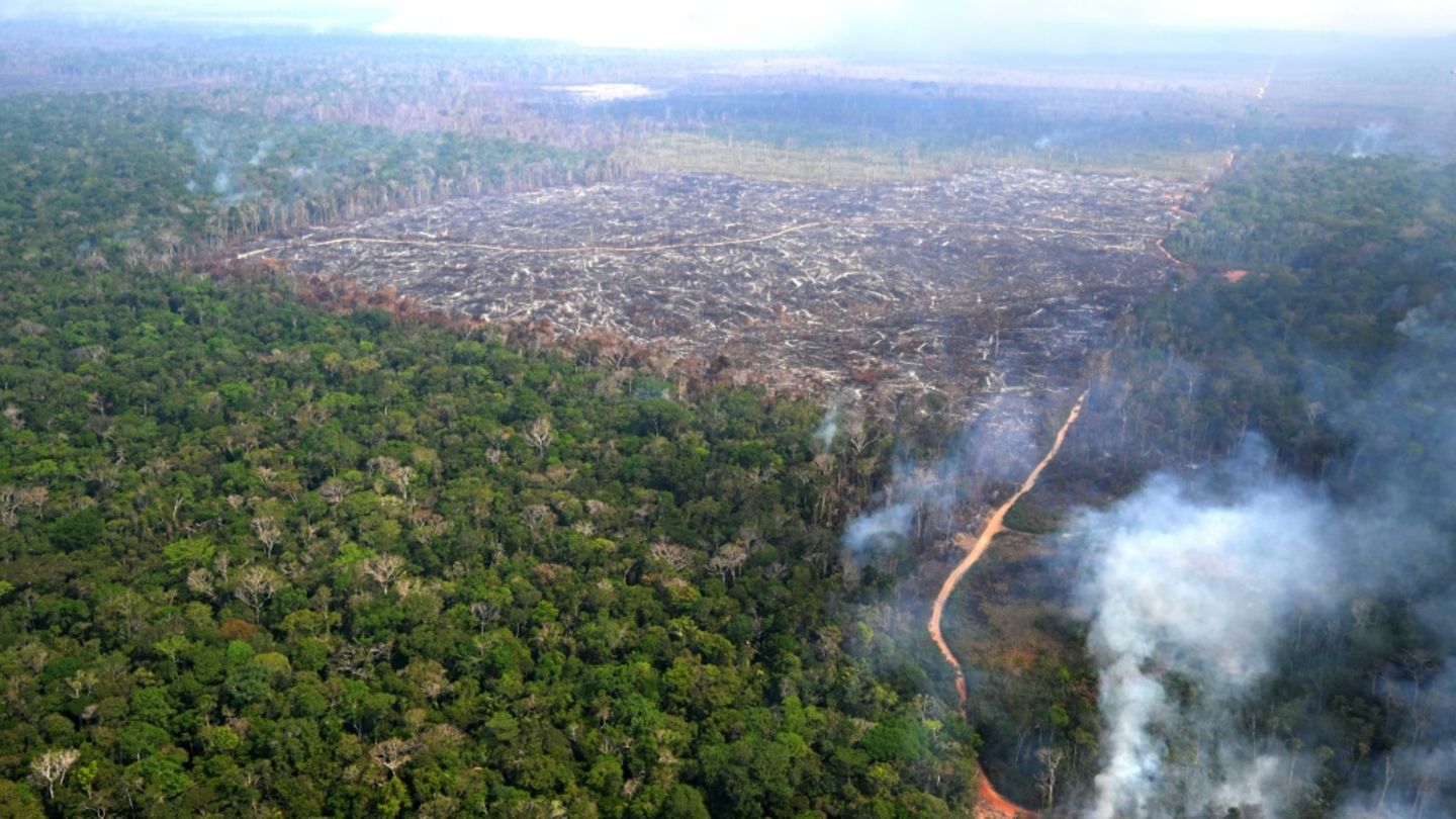 Brandrodung im Amazonas-Regenwald