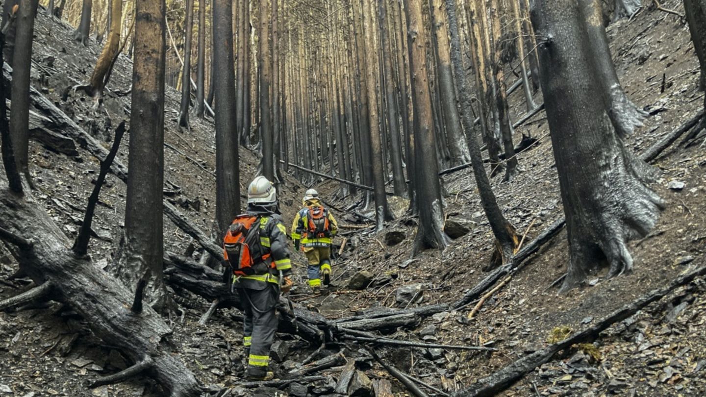 Feuerwehrkräfte