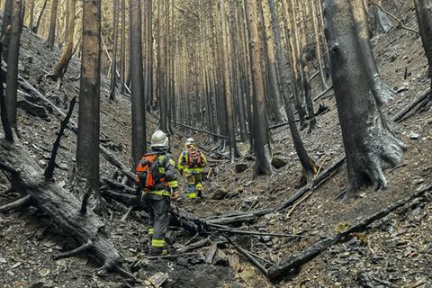 Feuerwehrkräfte