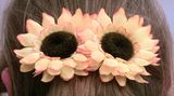 Sonnenblumen