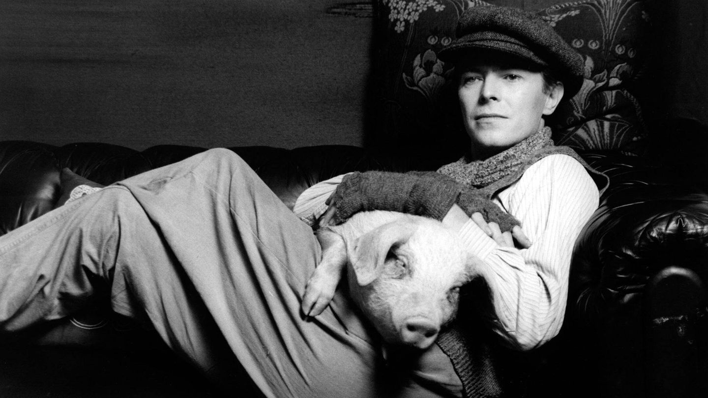 David Bowie liegt in einem Sessel und hat ein Schwein auf dem Schoß