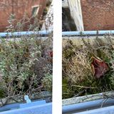 iPhone 16e Fotovergleich test Macro