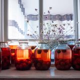 Rot schimmernde Gläser mit eingekochten Pflaumen stehen auf einem Fensterbrett