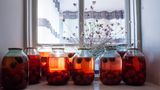 Rot schimmernde Gläser mit eingekochten Pflaumen stehen auf einem Fensterbrett