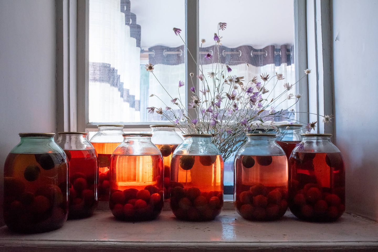 Vorrat für den Winter Rot schimmernde Gläser mit eingekochten Pflaumen stehen auf einem Fensterbrett
