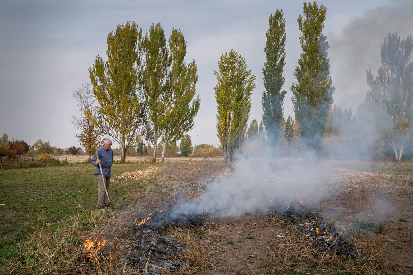 Die, die bleiben Ein Mann verbrennt auf seinem Feld die Überreste des Anbaus. Es ist Herbst, hinter dem Feld stehen Pappeln
