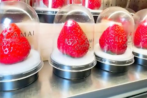 Supermarkt verkauft Erdbeeren für 19 Dollar pro Stück