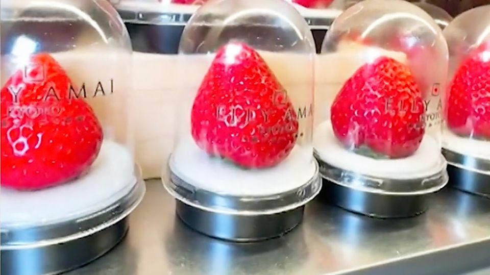 Supermarkt verkauft Erdbeeren für 19 Dollar pro Stück