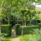 Garten des Jahres Hecken