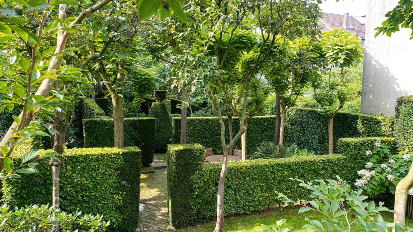 Garten des Jahres Hecken