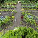 Garten des Jahres Gemüsebeete