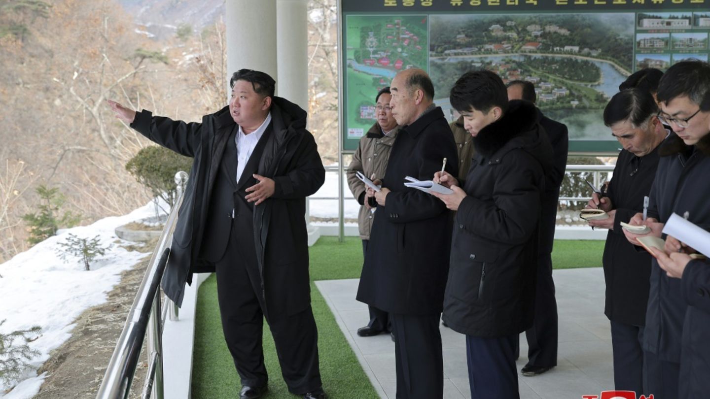 Kim auf Inspektion Kim auf Inspektion