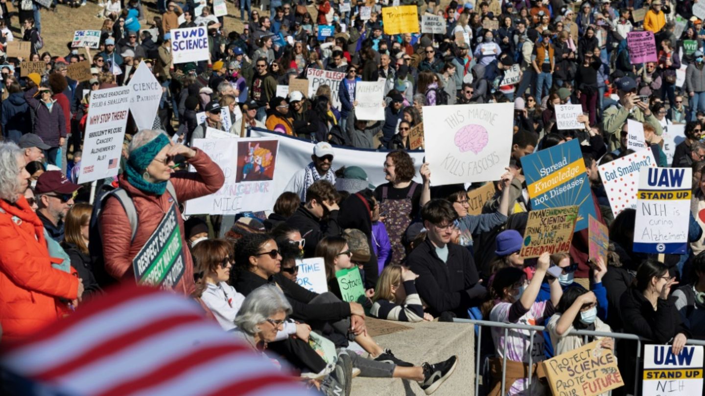 Demonstranten in Washington