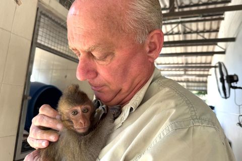 Edwin Wiek, Gründer der Organisation WFFT (Wildlife Friends Foundation Thailand), die das Wildtier-Krankenhaus betreibt
