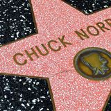 Chuck Norris feiert seinen Geburtstag nicht. Sein Geburtstag feiert ihn!    (Seinen Stern auf dem legendären "Walk Of Fame" in Los Angeles bekam Chuck Norris bereits im Jahr 1989)