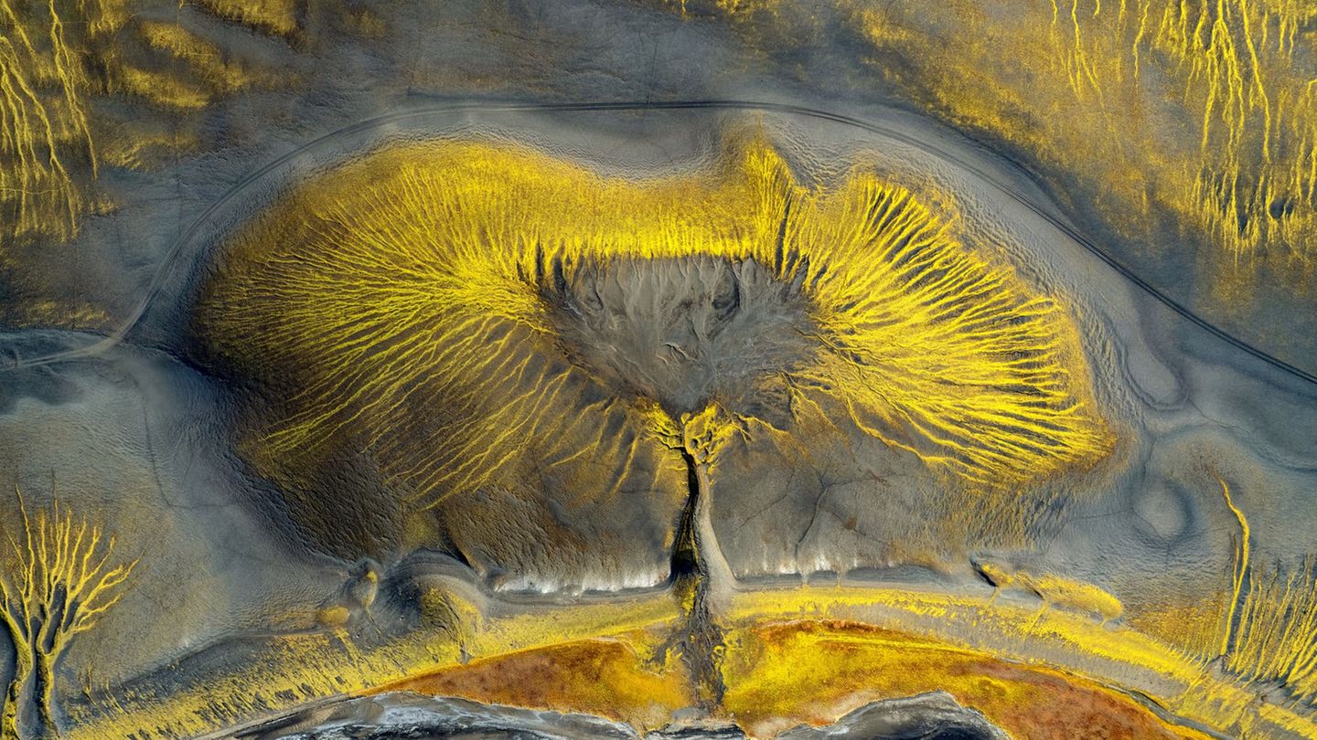 Pinselstriche der Natur Fast scheint es, als hätte die Natur mit feinem Strich einen Lebensbaum auf eine lebendige Leinwand gemalt. Golden schimmernde Adern breiten sich auf dieser Luftaufnahme vom Zentrum nach außen aus und verflechten sich zu einem komplexen organischen Muster, das an Äste oder Wurzeln erinnert. Tatsächlich haben Mineralablagerungen und Erosion hier leuchtende Gelbtöne in die dunkle Landschaft gemeißelt. Der deutsche Fotograf Timo Zilz gehört mit seiner Aufnahme zu den Finalisten in der Kategorie "Naturlandschaften".