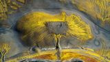 Fast scheint es, als hätte die Natur mit feinem Strich einen Lebensbaum auf eine lebendige Leinwand gemalt. Golden schimmernde Adern breiten sich auf dieser Luftaufnahme vom Zentrum nach außen aus und verflechten sich zu einem komplexen organischen Muster, das an Äste oder Wurzeln erinnert. Tatsächlich haben Mineralablagerungen und Erosion hier leuchtende Gelbtöne in die dunkle Landschaft gemeißelt. Der deutsche Fotograf Timo Zilz gehört mit seiner Aufnahme zu den Finalisten in der Kategorie "Naturlandschaften".