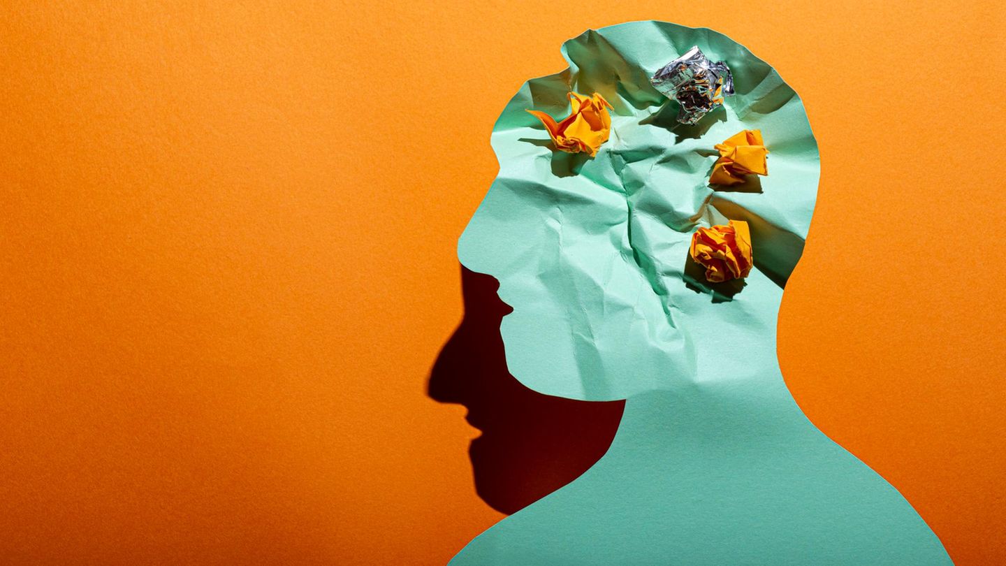 Neurobiologie-Wie-schnell-das-Gehirn-altert-wird-in-der-Lebensmitte-entschieden-