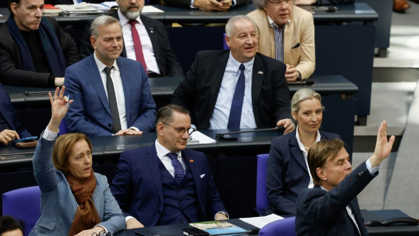 Die AfD-Fraktion im Bundestag