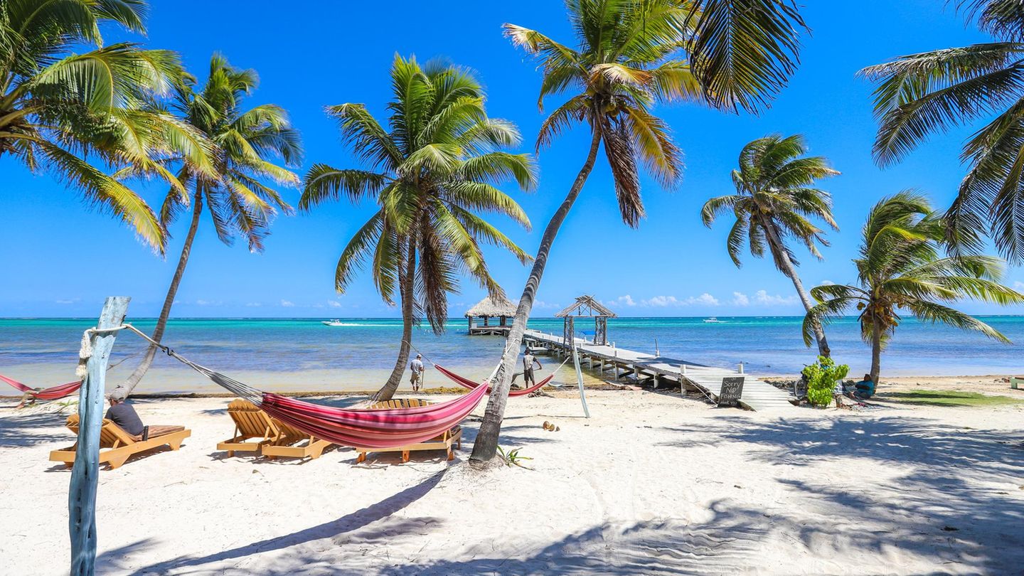 Traumziel Belize: Ambergris Caye – Karibiktraum mit Golfcarts und Haien Willkommen auf der Insel Ambergris Caye, wo Golfcarts die Straßen erobern, das Meer türkisblau funkelt und das Leben im entspannten Karibik-Rhythmus schwingt. Hier beginnt das Abenteuer direkt unter der Wasseroberfläche: Taucher und Schnorchler entdecken im Hol Chan Marine Reserve bunte Korallen, Rochen und sogar friedliche Ammenhaie. Wer lieber festen Boden unter den Füßen hat, kann in San Pedro mit einem frischen Lobster-Taco in der Hand durch die bunten Straßen schlendern. Tagsüber locken weiße Strände und Bootsfahrten zum legendären Blue Hole, abends sorgt ein Cocktail unter Palmen für das perfekte Inselleben. Einige Retreats haben sich auf der Insel angesiedelt, wie hier das Ak'bol Yoga Retreat. Ambergris Caye – Karibiktraum mit Golfcarts und Haien Willkommen auf der Insel Ambergris Caye, wo Golfcarts die Straßen erobern, das Meer türkisblau funkelt und das Leben im entspannten Karibik-Rhythmus schwingt. Hier beginnt das Abenteuer direkt unter der Wasseroberfläche: Taucher und Schnorchler entdecken im Hol Chan Marine Reserve bunte Korallen, Rochen und sogar friedliche Ammenhaie. Wer lieber festen Boden unter den Füßen hat, kann in San Pedro mit einem frischen Lobster-Taco in der Hand durch die bunten Straßen schlendern. Tagsüber locken weiße Strände und Bootsfahrten zum legendären Blue Hole, abends sorgt ein Cocktail unter Palmen für das perfekte Inselleben. Einige Retreats haben sich auf der Insel angesiedelt, wie hier das Ak'bol Yoga Retreat.