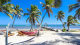 Ambergris Caye – Karibiktraum mit Golfcarts und Haien  Willkommen auf der Insel Ambergris Caye, wo Golfcarts die Straßen erobern, das Meer türkisblau funkelt und das Leben im entspannten Karibik-Rhythmus schwingt. Hier beginnt das Abenteuer direkt unter der Wasseroberfläche: Taucher und Schnorchler entdecken im Hol Chan Marine Reserve bunte Korallen, Rochen und sogar friedliche Ammenhaie. Wer lieber festen Boden unter den Füßen hat, kann in San Pedro mit einem frischen Lobster-Taco in der Hand durch die bunten Straßen schlendern. Tagsüber locken weiße Strände und Bootsfahrten zum legendären Blue Hole, abends sorgt ein Cocktail unter Palmen für das perfekte Inselleben. Einige Retreats haben sich auf der Insel angesiedelt, wie hier das Ak'bol Yoga Retreat.