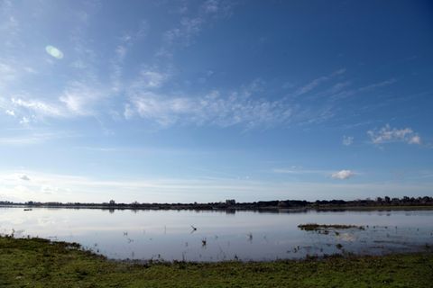 Der Doñana-Nationalpark in Andalusien