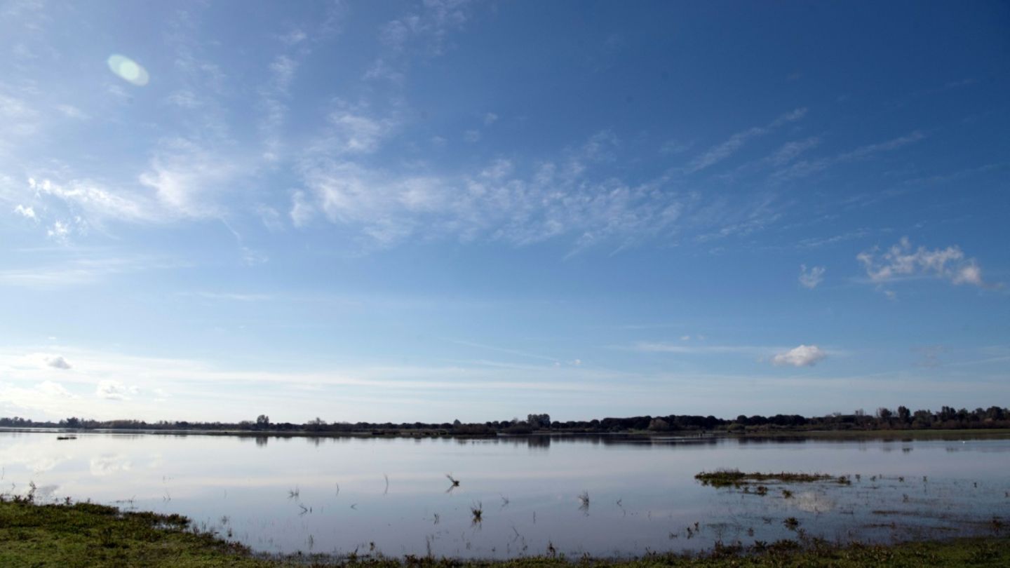 Der Doñana-Nationalpark in Andalusien