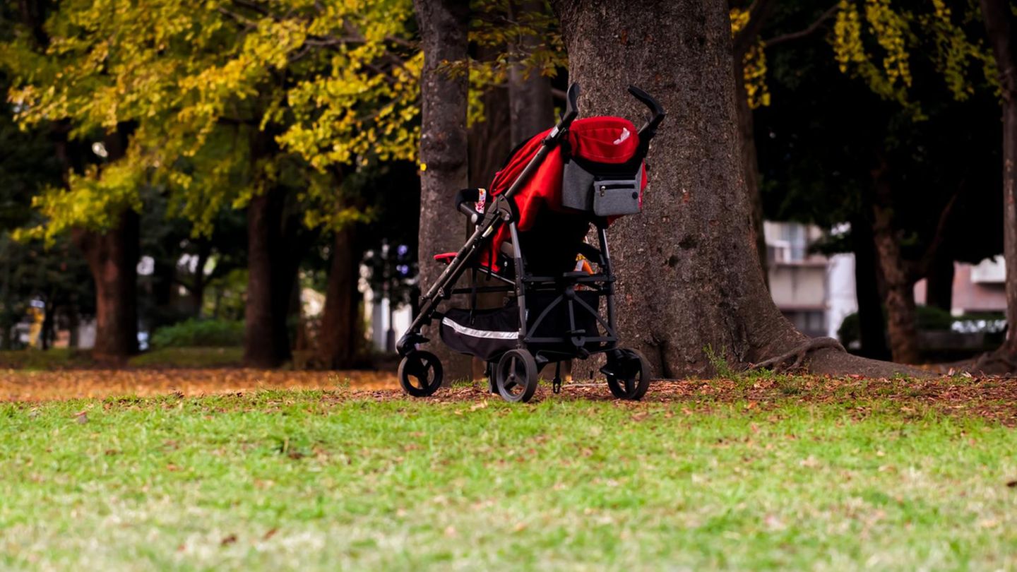 Herne rassistischer Angriff Kinderwagen im Park Symbolbild