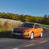 Im Volkswagen-Konzern hat sich Skoda gerade in den vergangenen Jahren einen Namen als Familienmarke machen können, auch wenn das Preisniveau nicht mehr derart günstig ist wie ehemals. Auch bei Skoda sucht man einen echten Van vergeblich, doch mit dem 4,70 Meter langen Skoda Octavia Combi ein variables Familienmodell