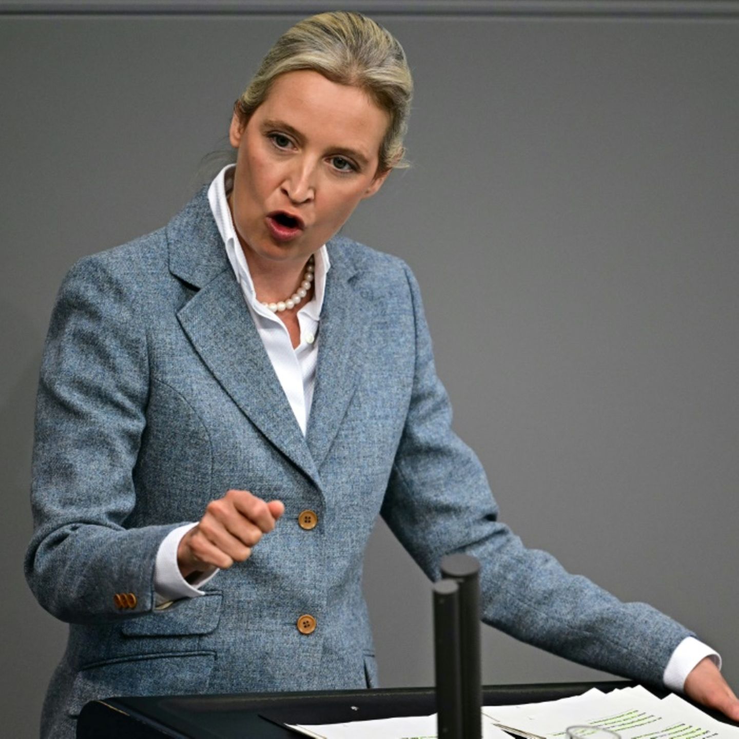 AfD-Chefin Weidel wirft Merz "finanzpolitischen Staatsstreich" vor | STERN.de