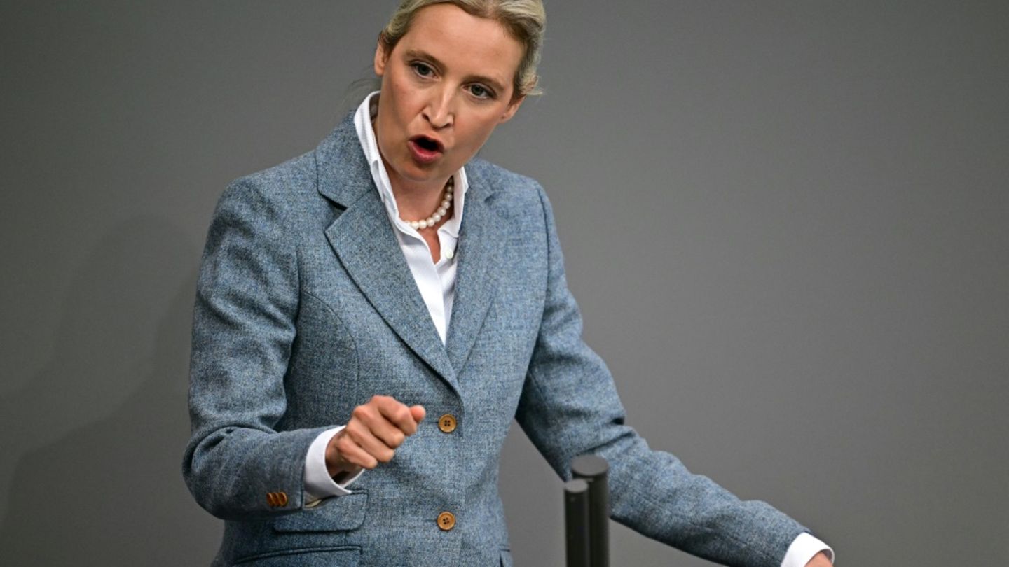 AfD-Vorsitzende Weidel