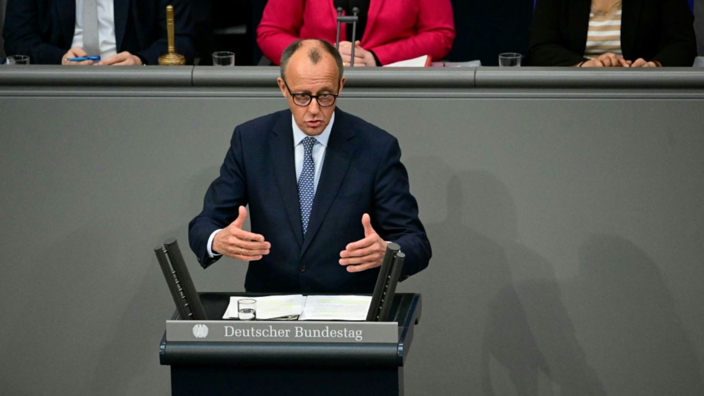 CDU-Chef Merz im Bundestag