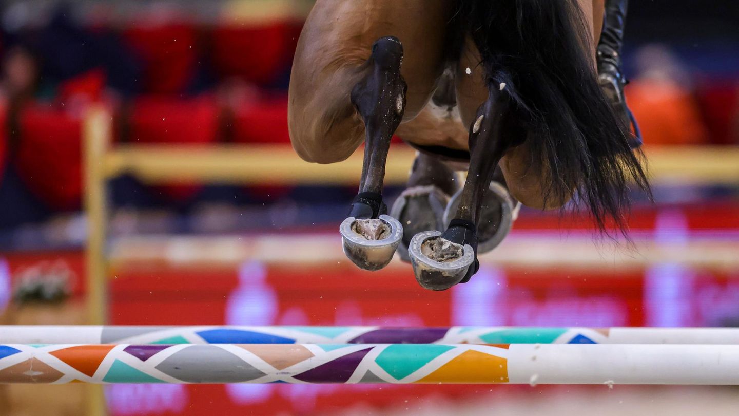 Ein Pferd springt über ein Hindernis