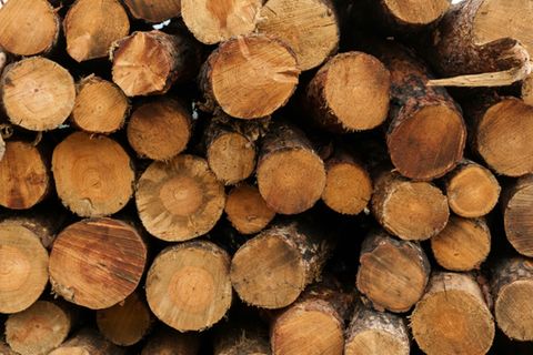 Aufgestapelte Holzstämme