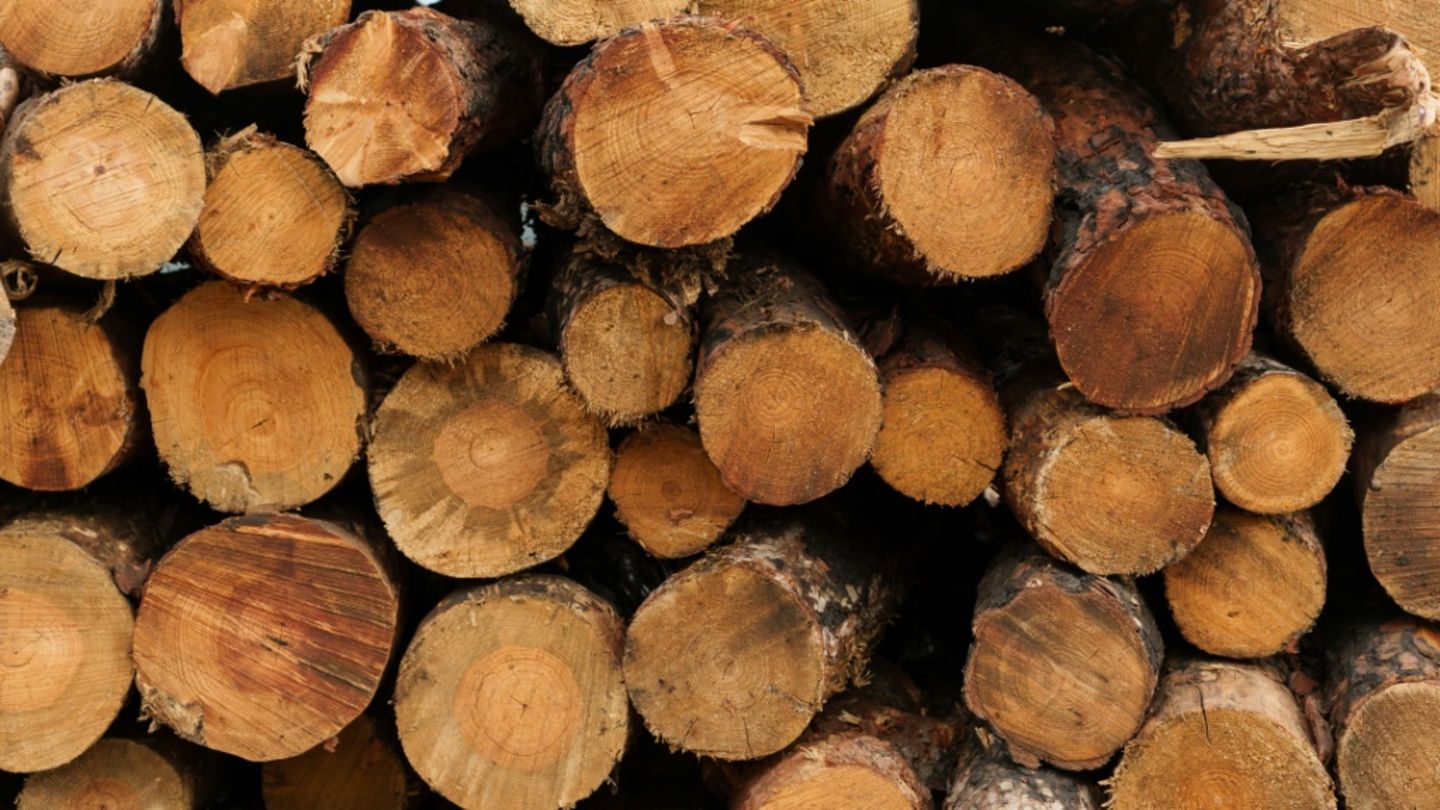 Aufgestapelte Holzstämme