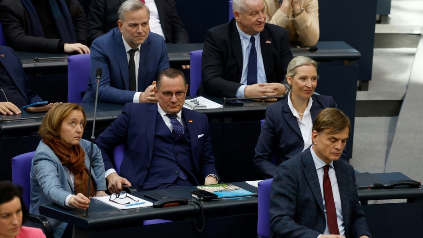 Die AfD-Fraktion im Bundestag