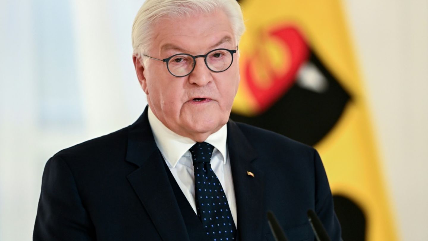 Bundespräsident Steinmeier