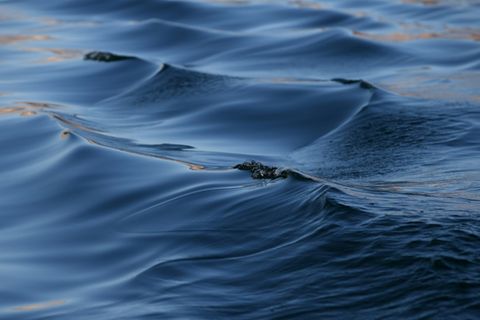 Wasseroberfläche
