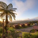Hütten einer Lodge im Nebelwald im Abendlicht