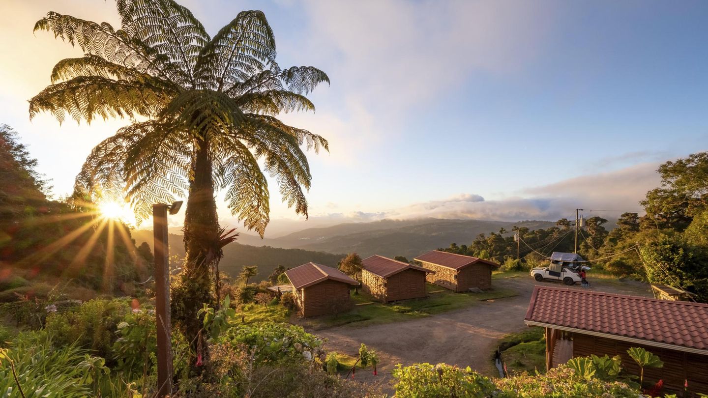 Hütten einer Lodge im Nebelwald im Abendlicht