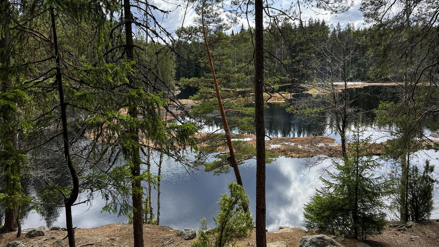 Finnische Wald-und-Seenlandschaft