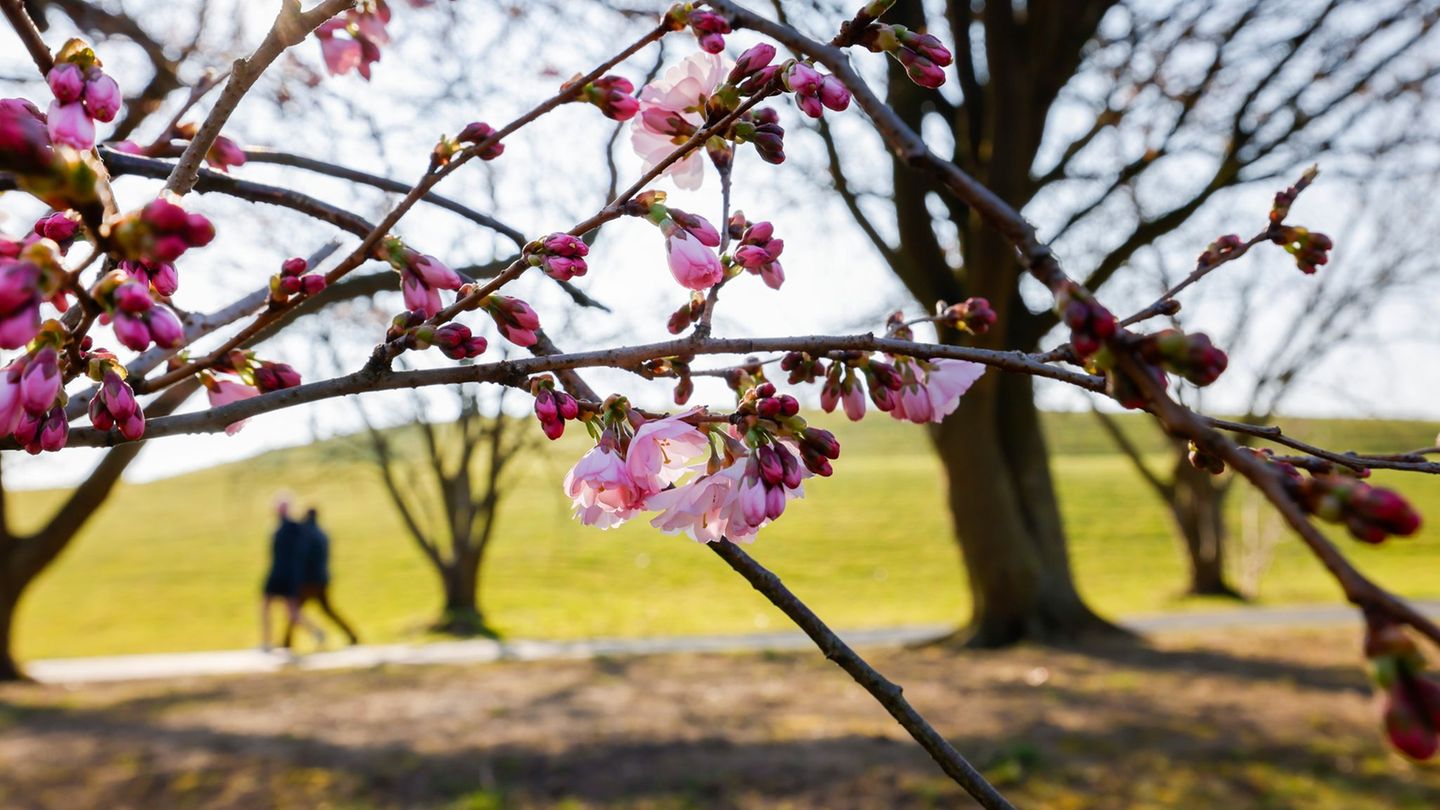 sonniges-wetter-fr-hlingshafter-wochenstart-in-hessen