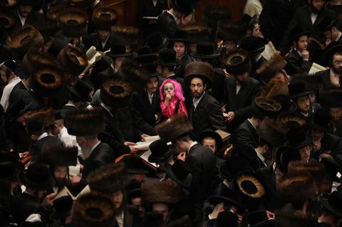 Während Purim wird das Buch der Esther aus der Bibel gelesen